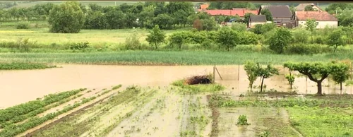 inundatii in salaj