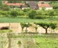 inundatii in salaj