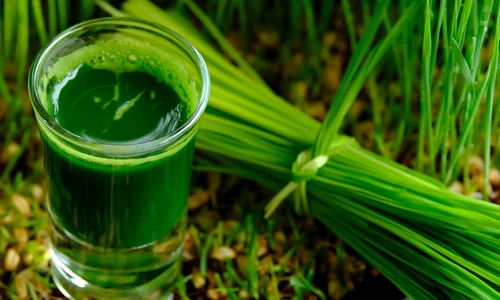 shutterstock 552054931 jpg