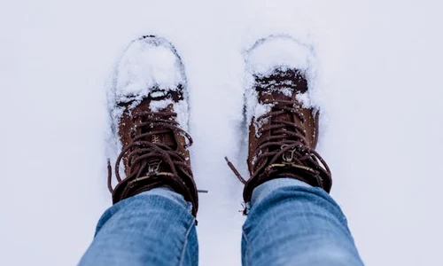 okmagazine ro pexels freestocks 839464 jpg