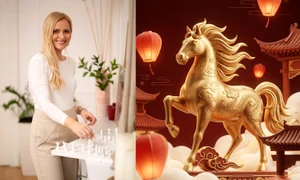 nicoleta ghiris anul calului de foc (1) jpg