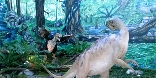 zamolxes dinozaurul