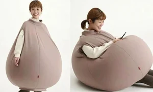 baza fotoliu (captura video) jpg