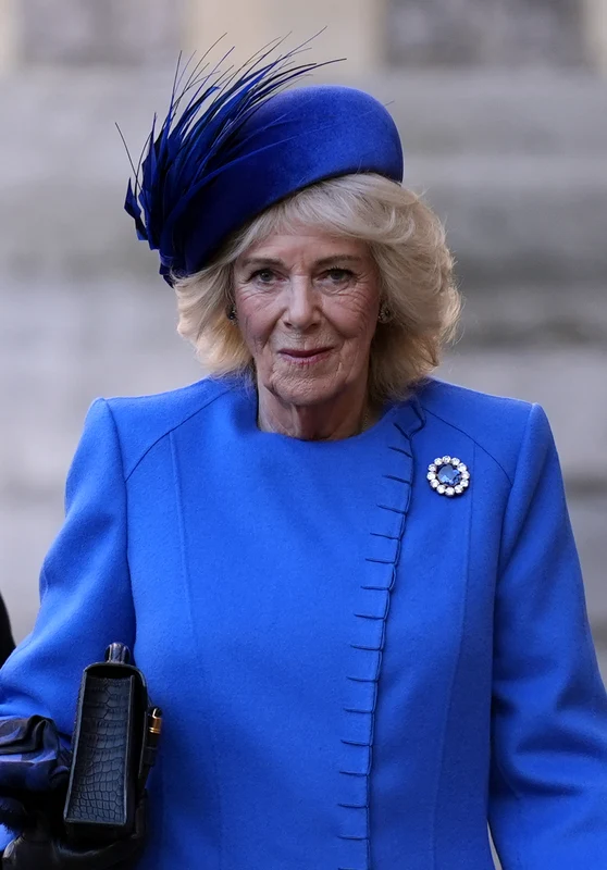 Regina Camilla la primirea cuplului prezidențial german  GettyImages