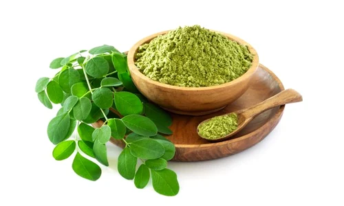 1 shutterstock 1410728039 jpg jpeg