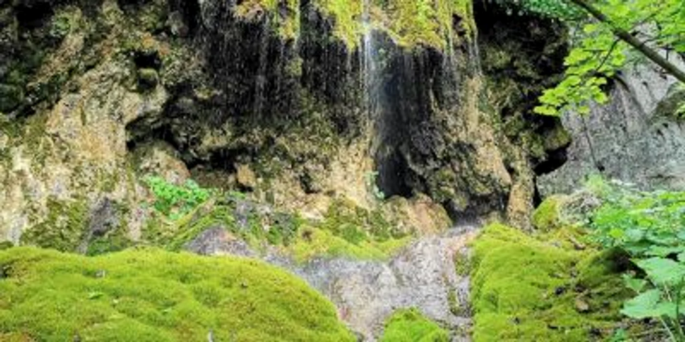 cascada sipote apuseni