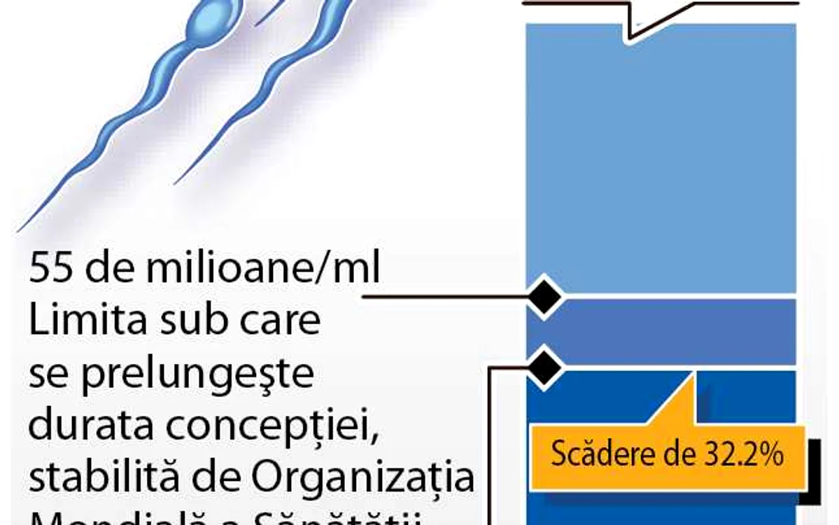 infografie