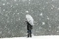 ninge 04533700 jpeg