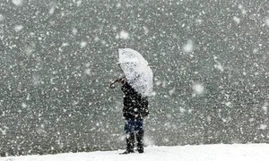 ninge 04533700 jpeg