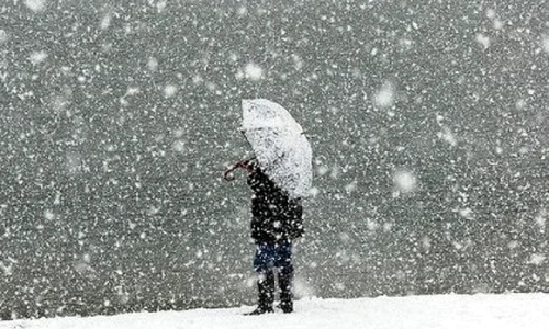 ninge 04533700 jpeg