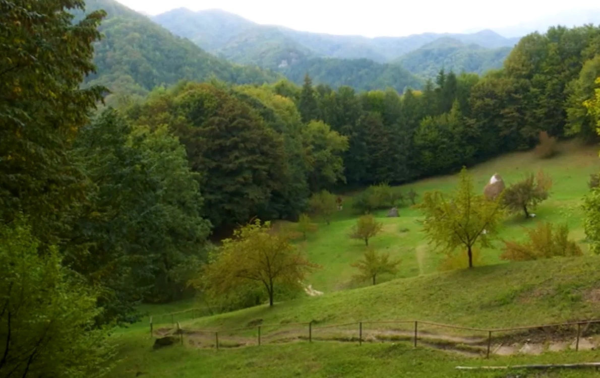 Poiana Peşterii Sfântului Antonie de la Iezer - Vâlcea Foto Adevărul