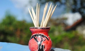 scobitori pixabay jpg