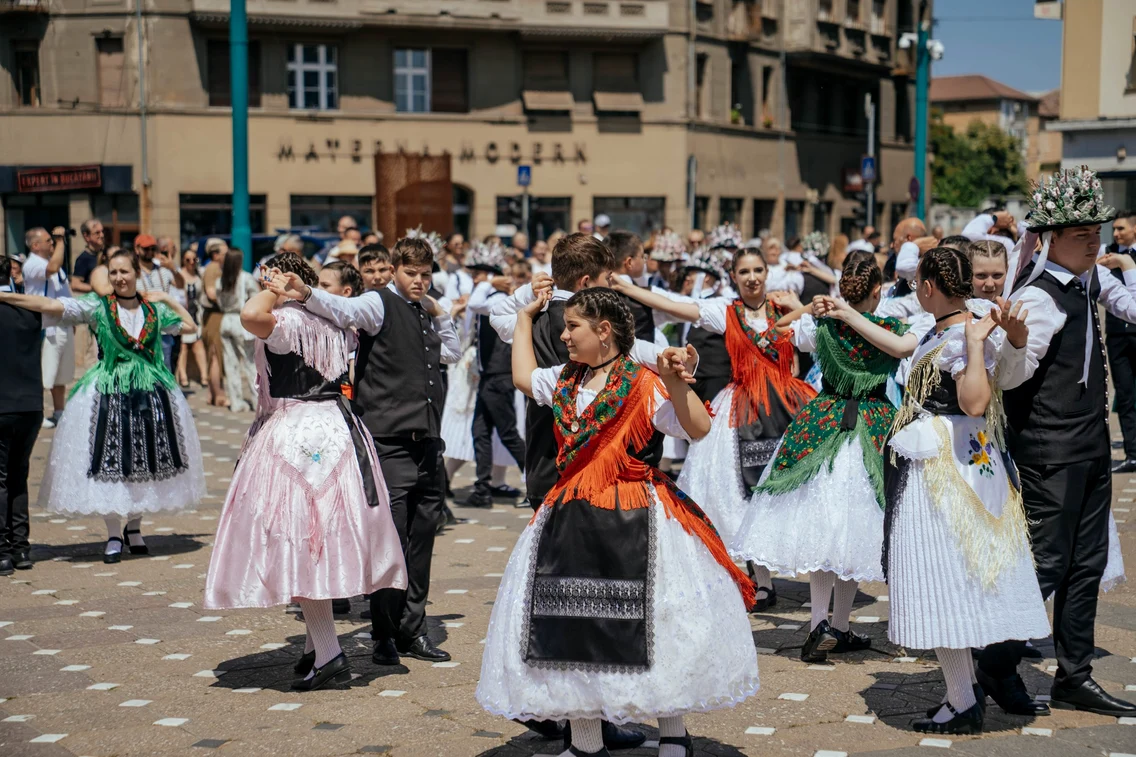 Svabi Foto Primaria municipiului Timisoara 7 jpg