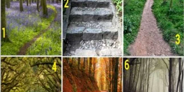 Test de personalitate. Alege un drum şi află ce îţi rezervă 2019