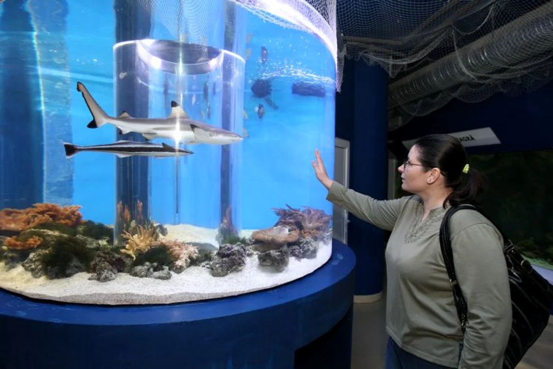 Centrul Muzeal Ecoturistic Tulcea