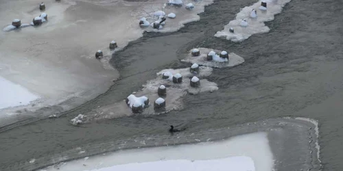 Partidă de pescuit periculos în mijlocul Someșului cuprins de gheață