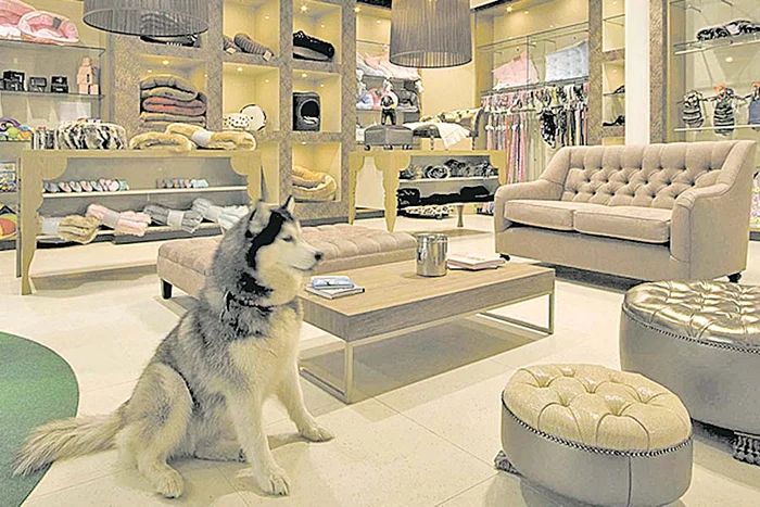 Mrrr! Scarpină-mă! (Fotografii:photoland / wenn)