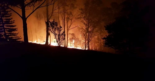 17 russell crowe incendiu la ferma 5 jpg jpeg