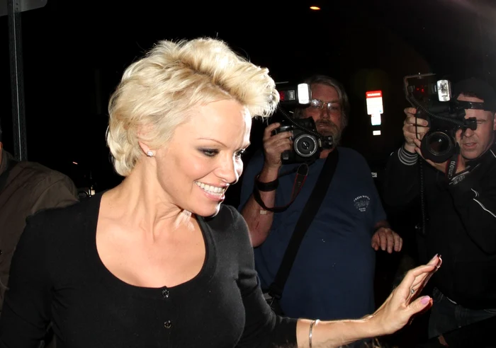 Pamela Anderson este actriţă
şi fotomodel, fiind cunoscută în special pentru rolurile din
serialele de televiziune „Meşterul casei“, „Salvamarii/Baywatch“
şi „V.I.P.“