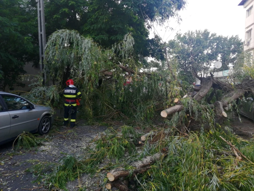 pompieri interventie copac focsani