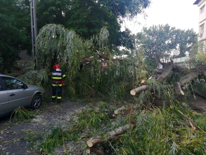 pompieri interventie copac focsani