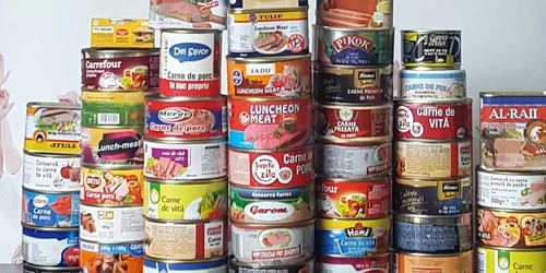 studiu conserva din carner foto apc