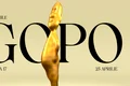 Premiile Gopo 2023 nominalizari png