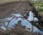 Imagini de Evul Mediu în Constanţa - cartierul Veterani Km 4-5 Foto S.I.