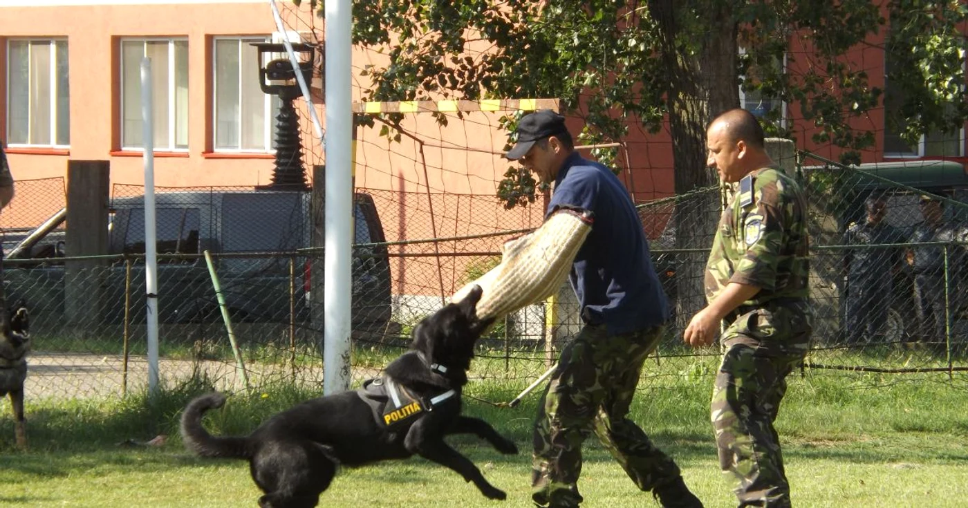 Exerciţiu cu câinii de serviciu FOTO Corina Macavei