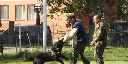 ziua politiei de frontiea la meehdinti FOTO Corina Macavei 