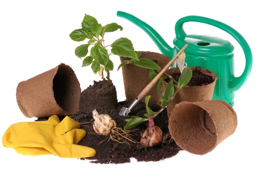 1 53579 original jpg jpeg