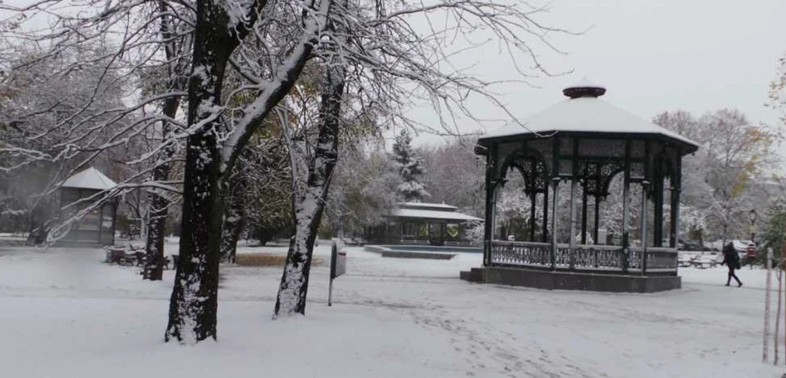 iarna focsani