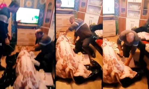 clip viral cu porcul transat in sufragerie newshd ro jpg