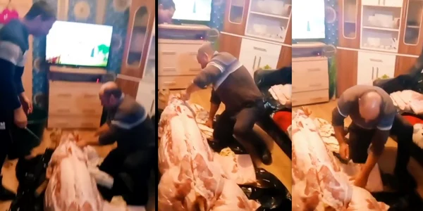 clip viral cu porcul transat in sufragerie newshd ro jpg