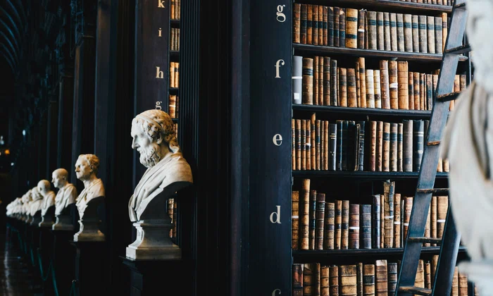 giammarco boscaro zeH ljawHtg unsplash jpg