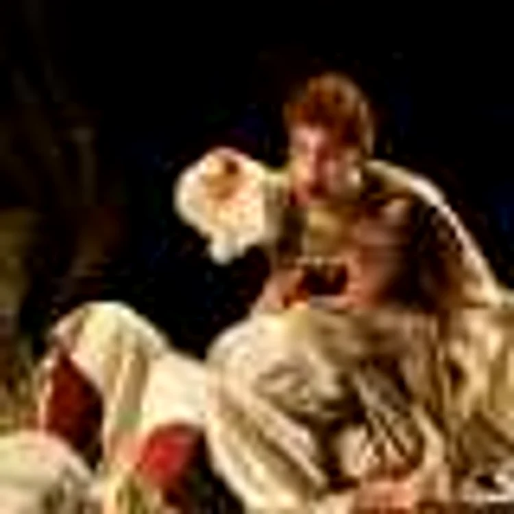 amadeus teatrul antional radu stanca