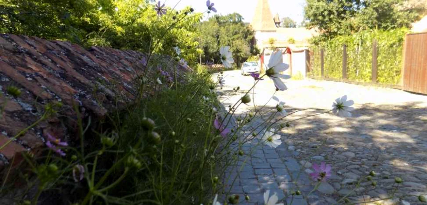 sighisoara