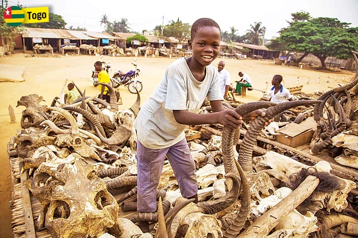 Piaţa vrăjitorilor voodoo Akodessewa, din Lome