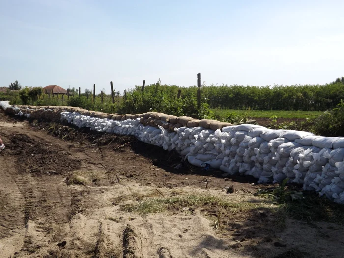 Digul de protecţie cu saci cu nisip de la Cozia FOTO Corina Macavei