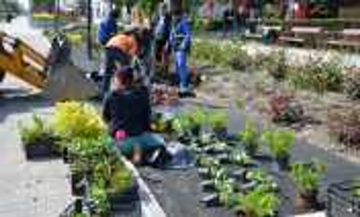 Parcul Trandafirilor va avea mai multă verdeaţă şi flori