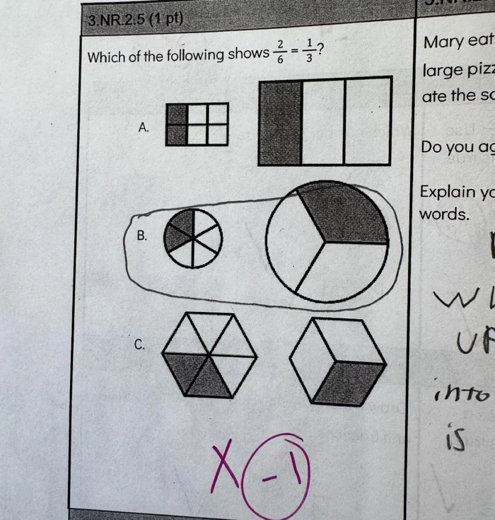 Temă de matematică pentru copii, scandal uriaș pe internet / foto: Reddit