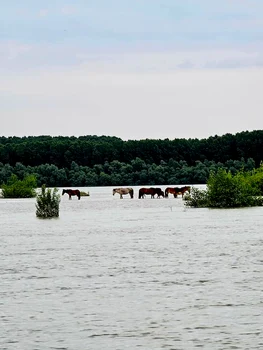 Insula Cailor, o nouă atracție turistică FOTO: Giv Boats