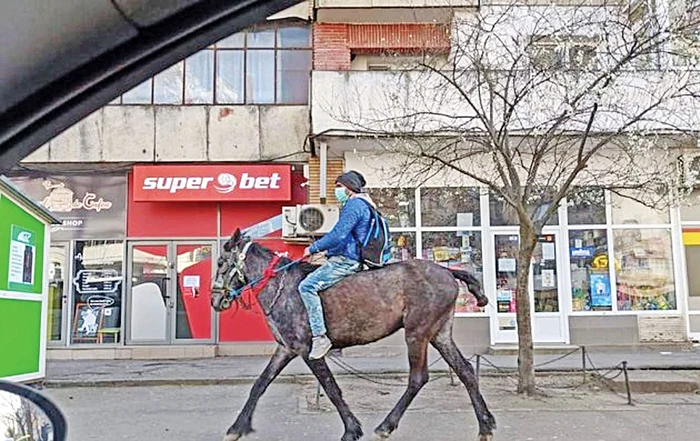 Sergiu Ion Ciobotariu, alături de prietenul necuvântător Foto: bzi.ro