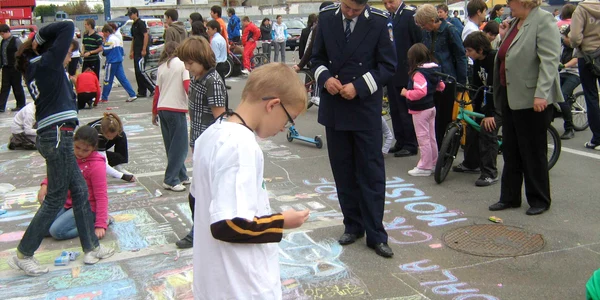 Satu Mare: Sute de elevi au participat la concursul organizat de poliţiştii de proximitate