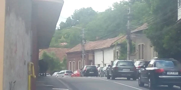 bivol cluj foto facebook zoly zelenyak
