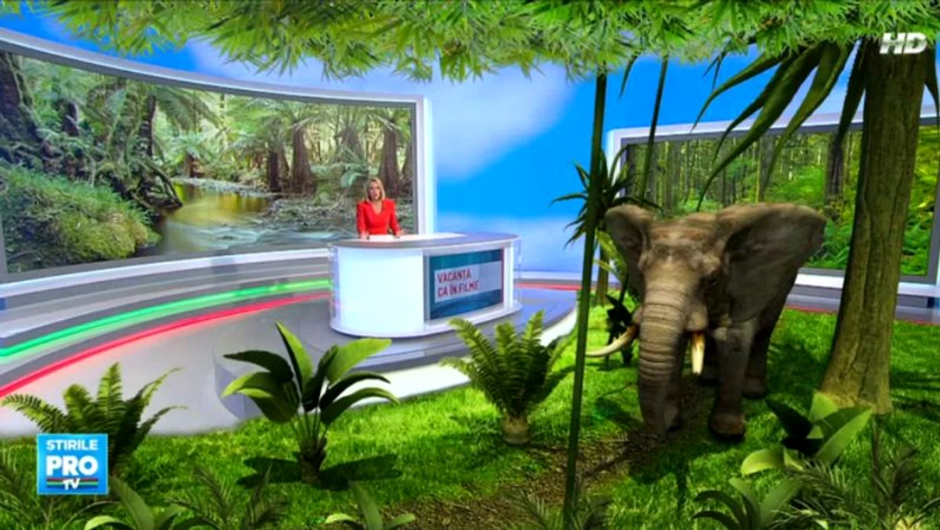 La o ştire despre vacanţe, în noul studio "au apărut" păsări şi un elefant