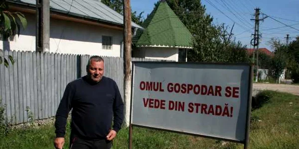 nistor bratosin