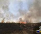 Incendiu de vegetație FOTO ISU/ Facebook