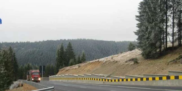 Camioneta a căzut de pe autostrada suspendată în grădina zoologică