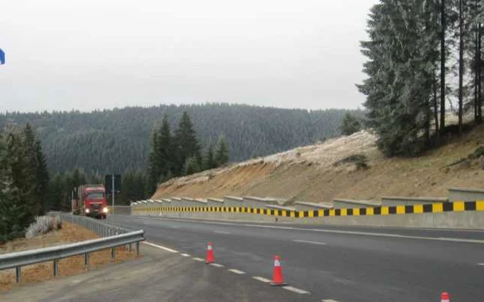 Camioneta a căzut de pe autostrada suspendată în grădina zoologică